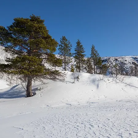 Σαλέ Osman Kelohovi *