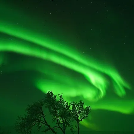 Σαλέ Osman Kelohovi *