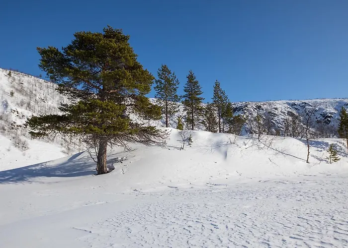 Chalet Osman Kelohovi *