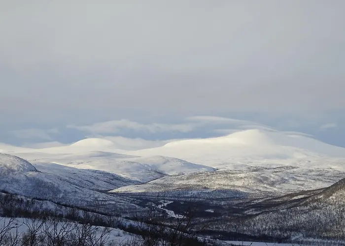 Chalet Osman Kelohovi *