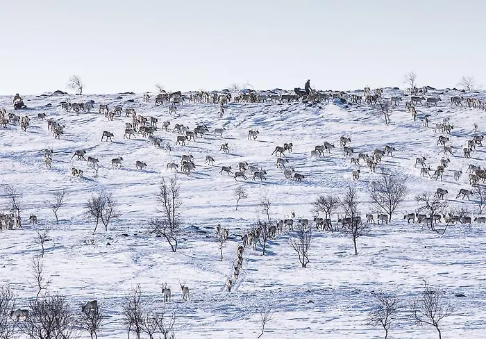 Chalet Osman Kelohovi *