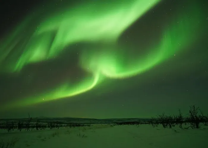 Chalet Osman Kelohovi *