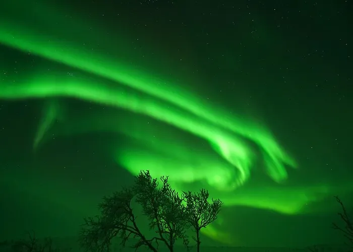 Chalet Osman Kelohovi *